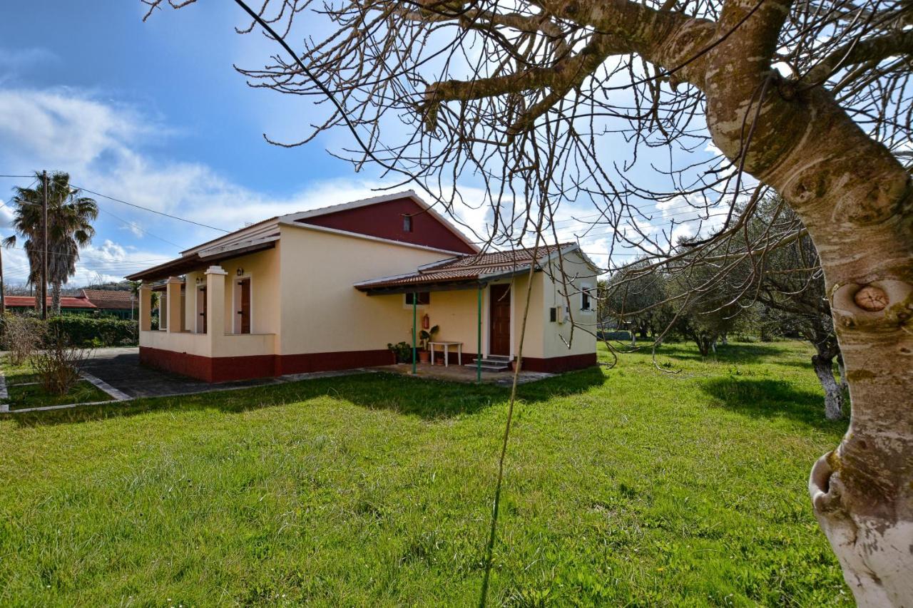 Apartament Adonis