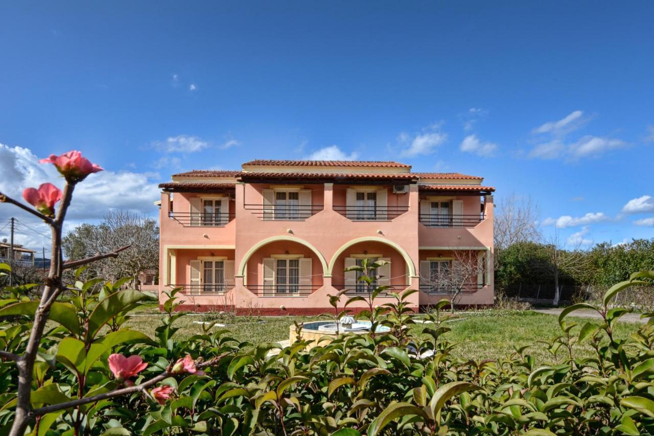 Apartament Adonis